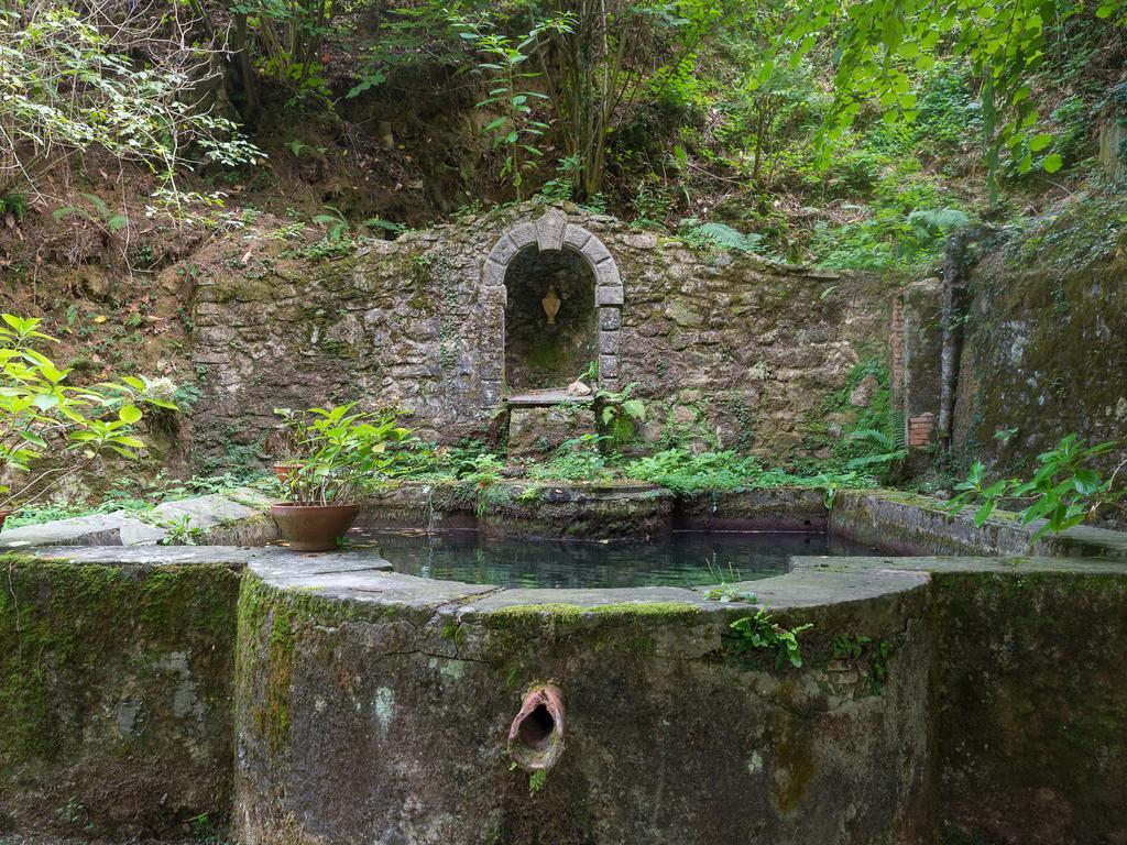 Agriturismo Le Fontanacce Πέσια Εξωτερικό φωτογραφία